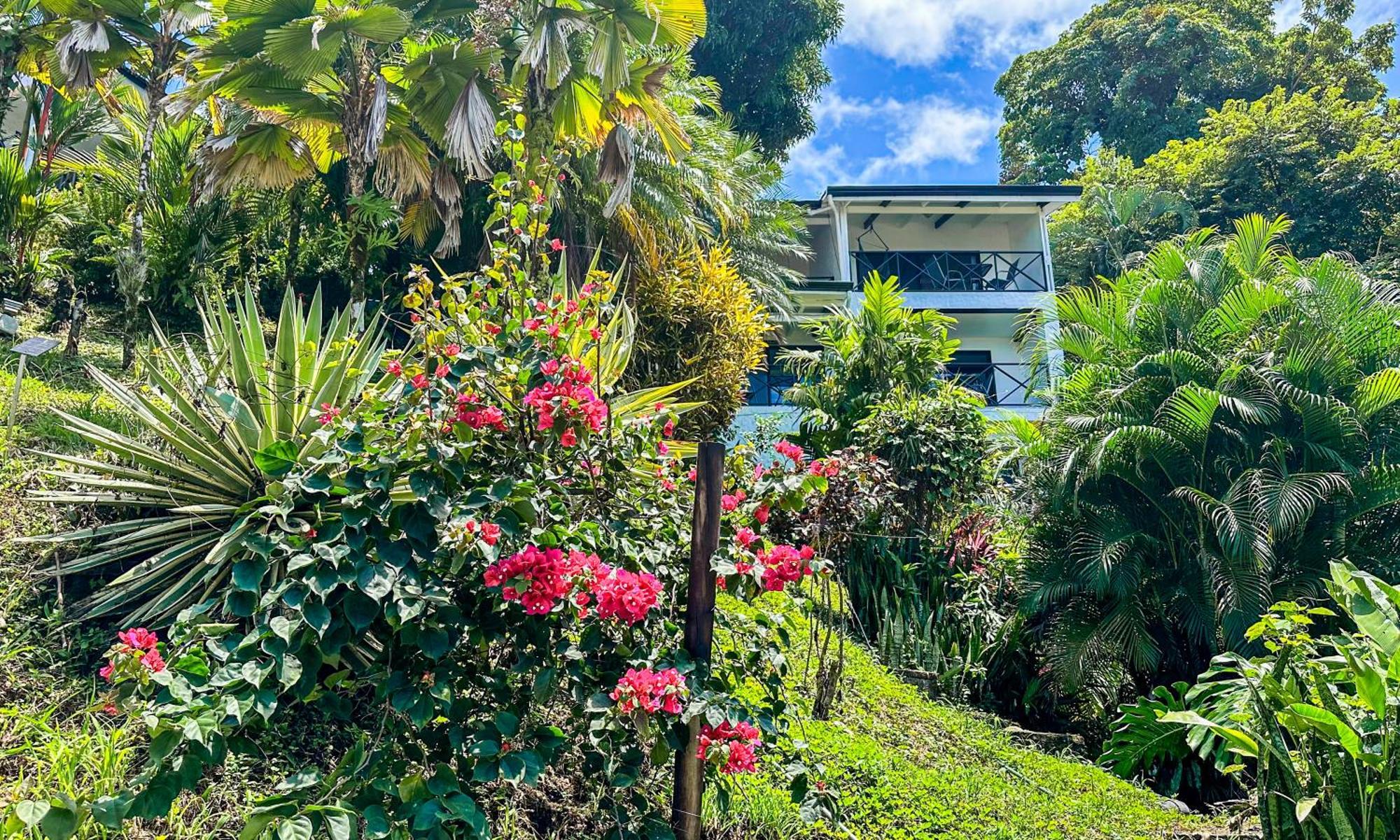 Villa Roca Boutique Resort & Suites - Adult Only Manuel Antonio Exteriör bild